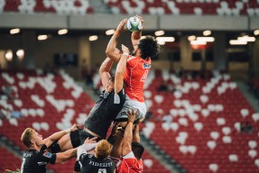 开云app-美洲杯明星养成：精彩表现助球队夺冠！，美洲杯明星球员