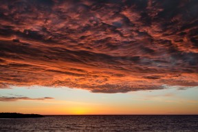 开云ky官网-恩多比·恩乔：南非队的进攻枢纽，关键时刻的“进球机器”
