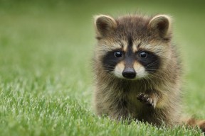 开云体育官网上-中超联赛中国青年队爆冷 球员心理成焦点，中超俱乐部青训