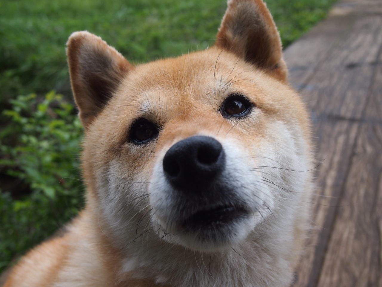 中超球员比赛表现趋势报告,中超联赛球员数据