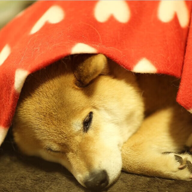 中超球队中后场推进模式统计,中超边后卫