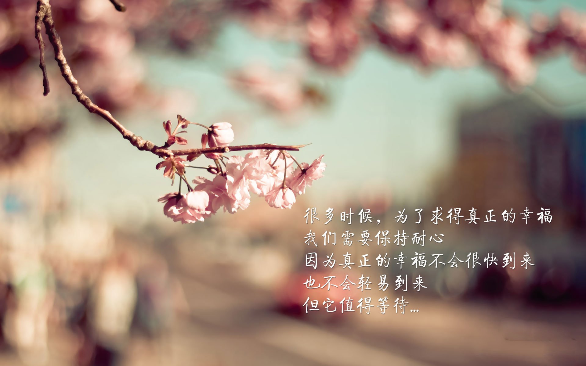 全国定向运动锦标赛多地选手展风采,全国定向锦标赛几年举办一次