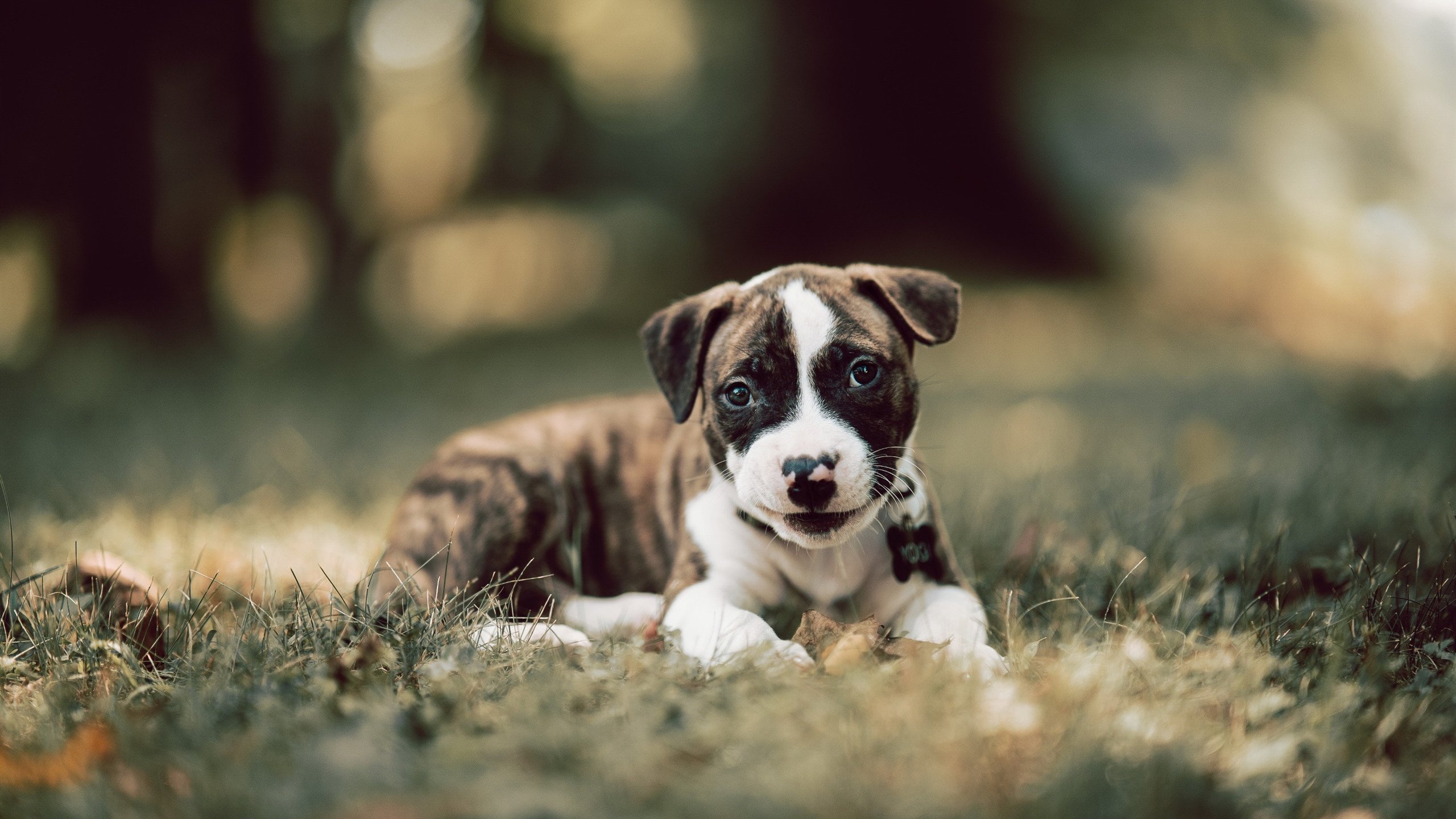 全民健身路径器材安全使用监管机制研究，全民健身路径是什么意思