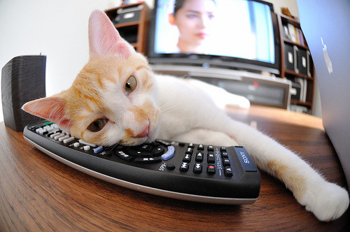 英超球队通过疲劳状态感知模型优化训练负荷调整