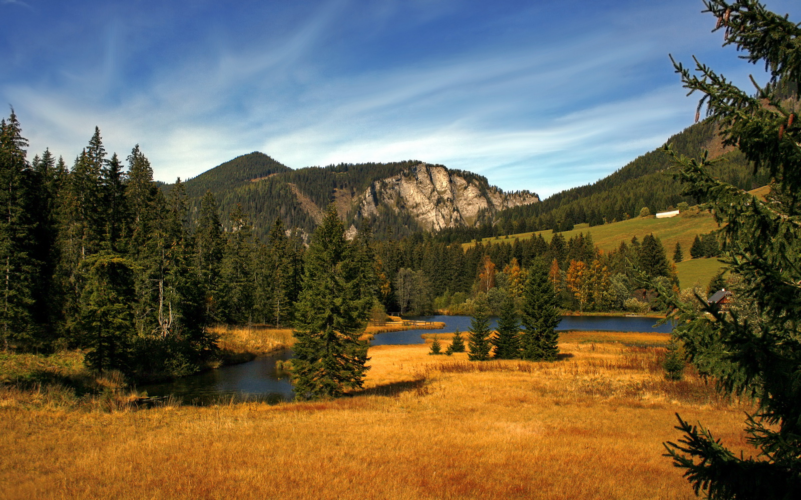 赛季战绩分析:哪些球队成为最大黑马?,赛季战绩分析_哪些球队成为最大黑马球员