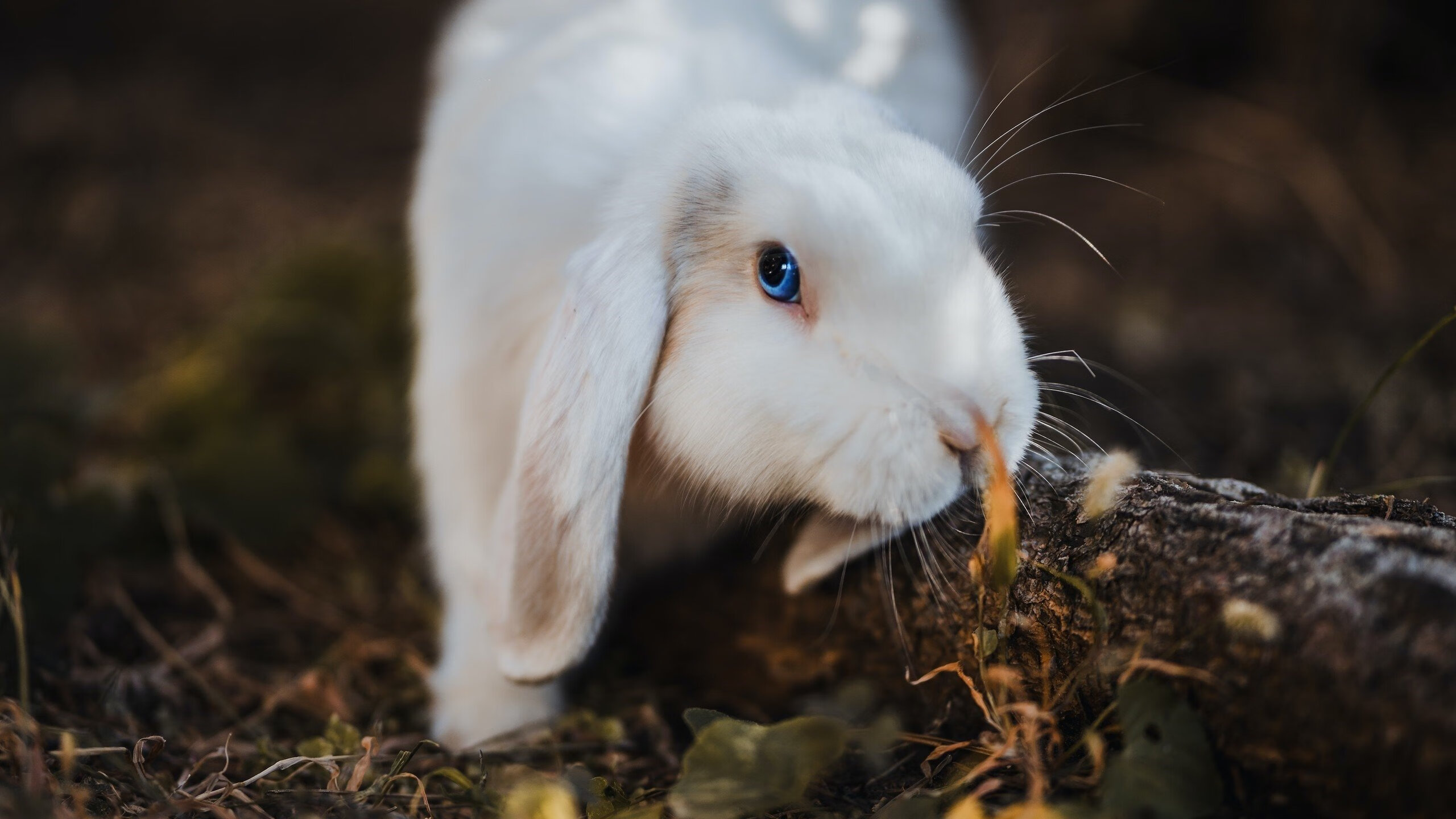 高校体育课程创新教学与实践研究,体育创新课程的心得体会