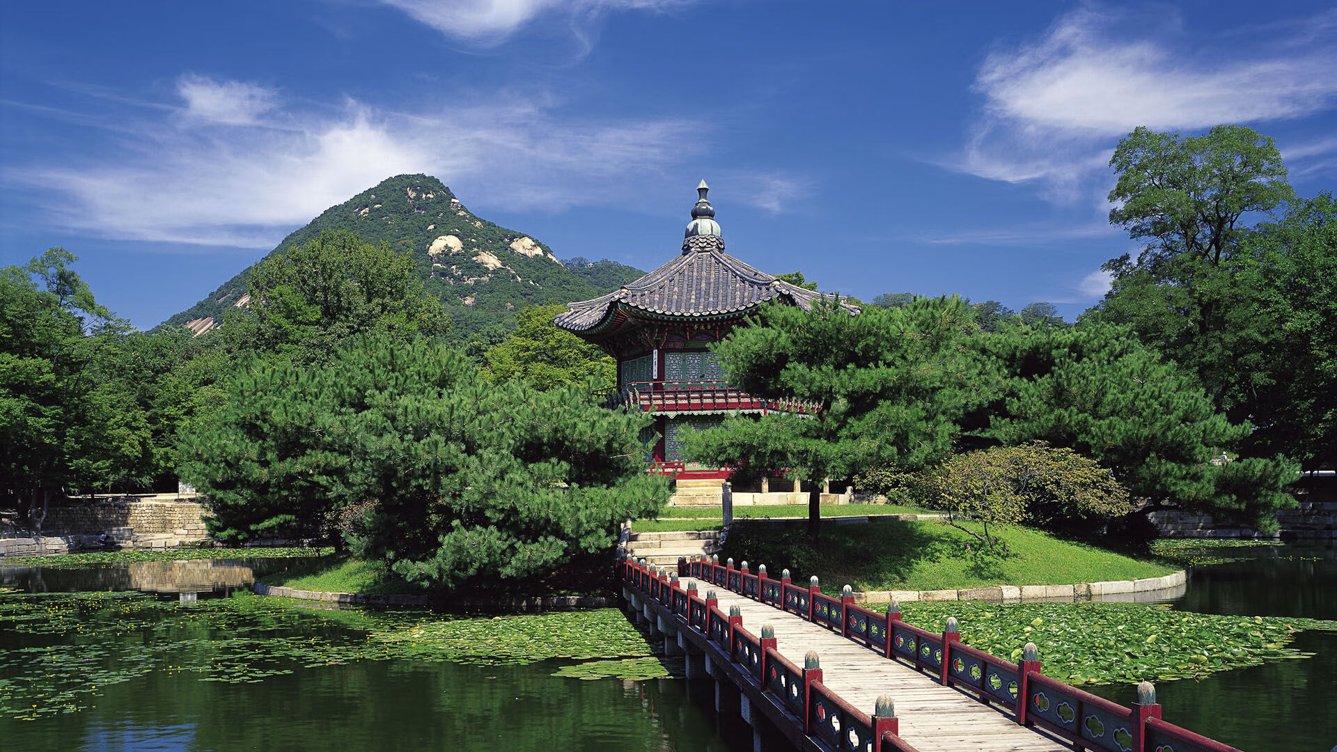 “东安湖体育公园：2025世界运动会首日精彩纷呈”