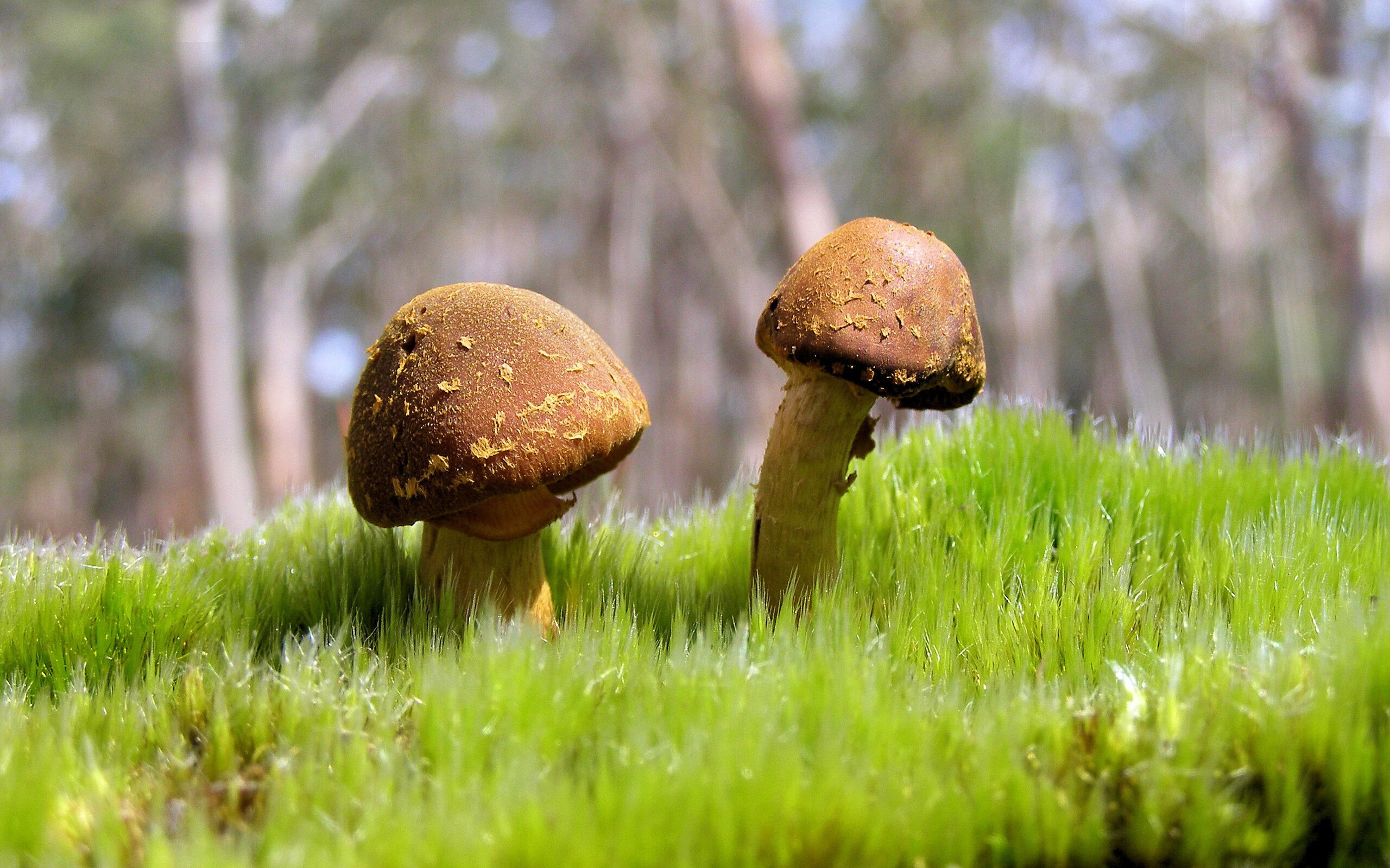 “快艇冲浪：东三叉湖赛场极速对决，飞驰水面成焦点”