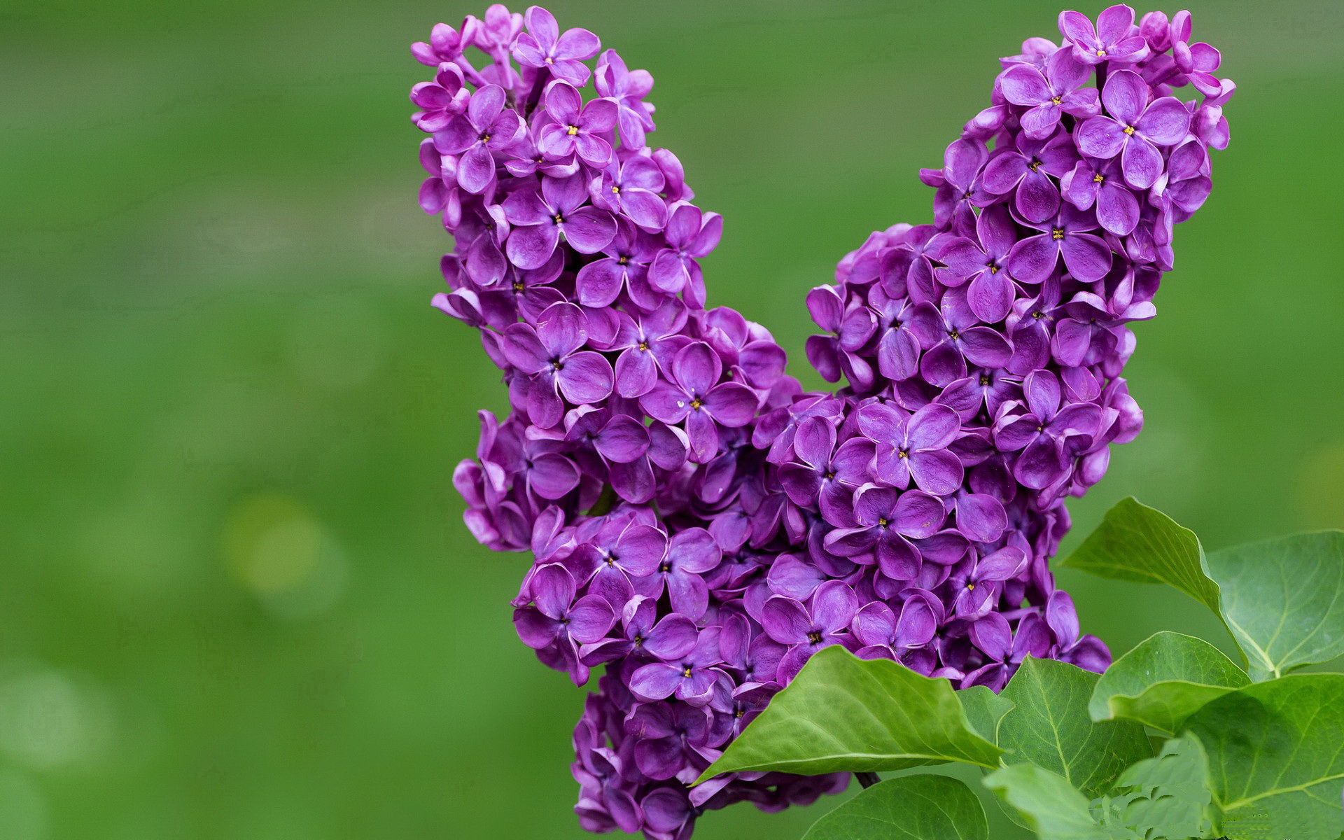 中国男篮主教练注重团队协作，中国男篮主教练名字