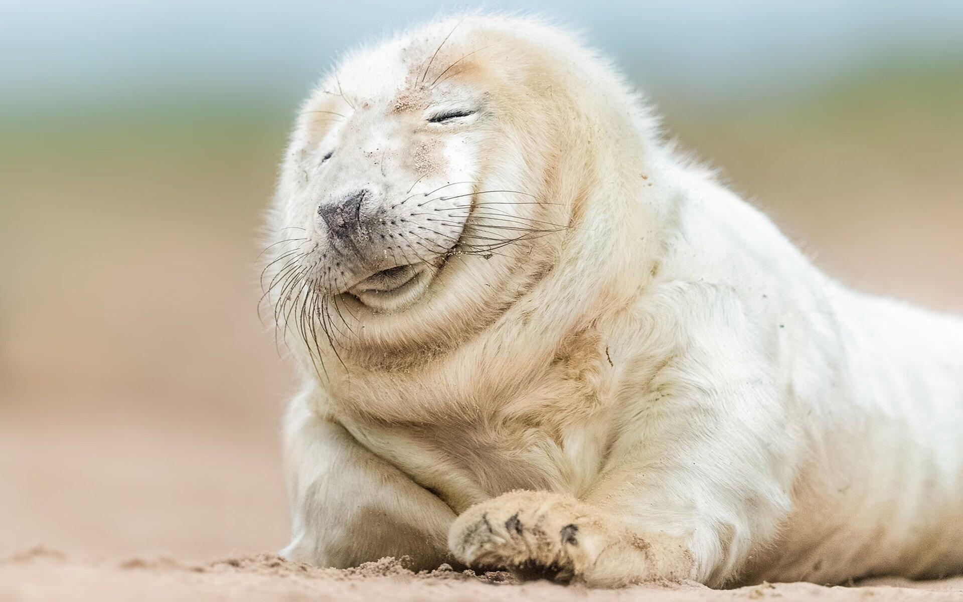 五大联赛是否更倾向中前场组织核心集权模式,五大联赛中场排行