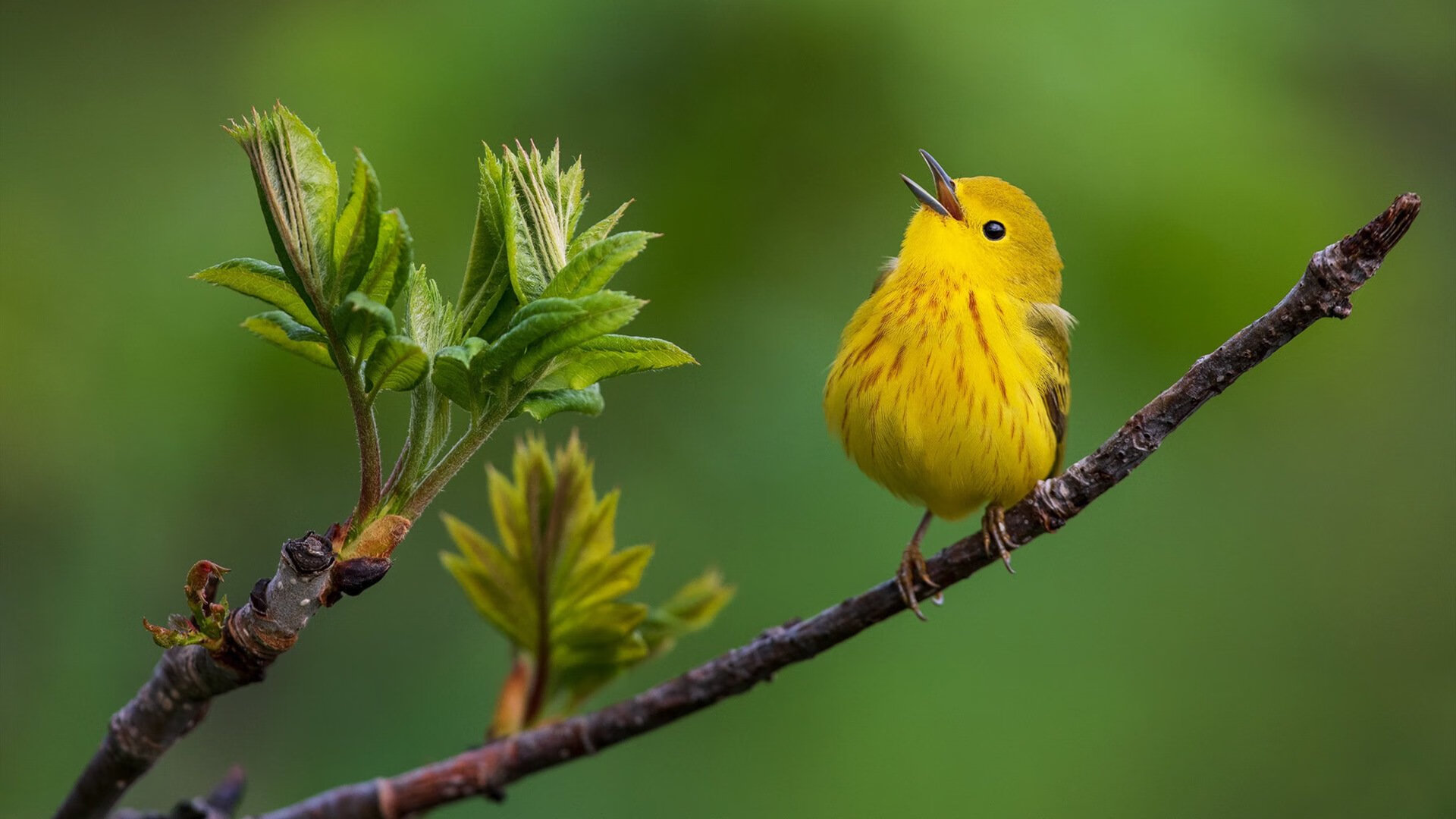 体育新闻中心上线体育话题热度追踪与趋势洞察平台,体育新闻!