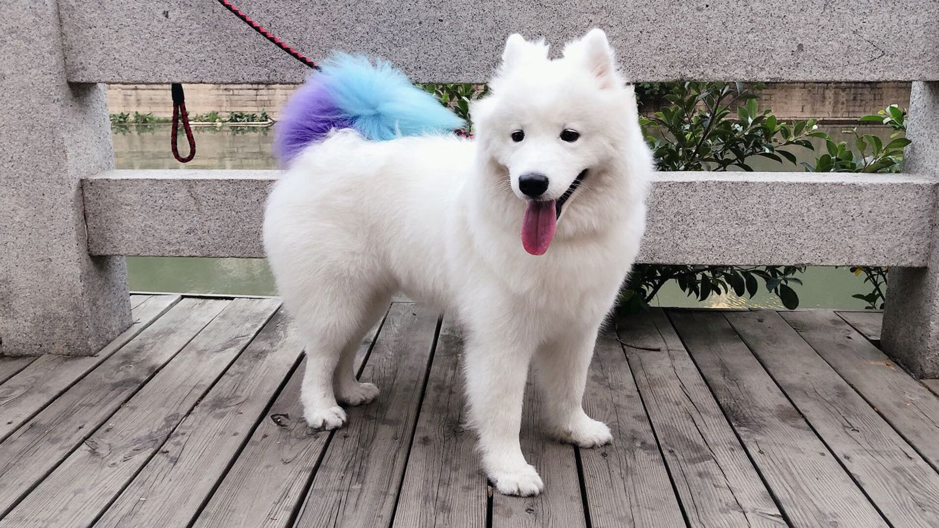 体育纪录片拍摄视角聚焦家庭支持力量，体育纪录片主题