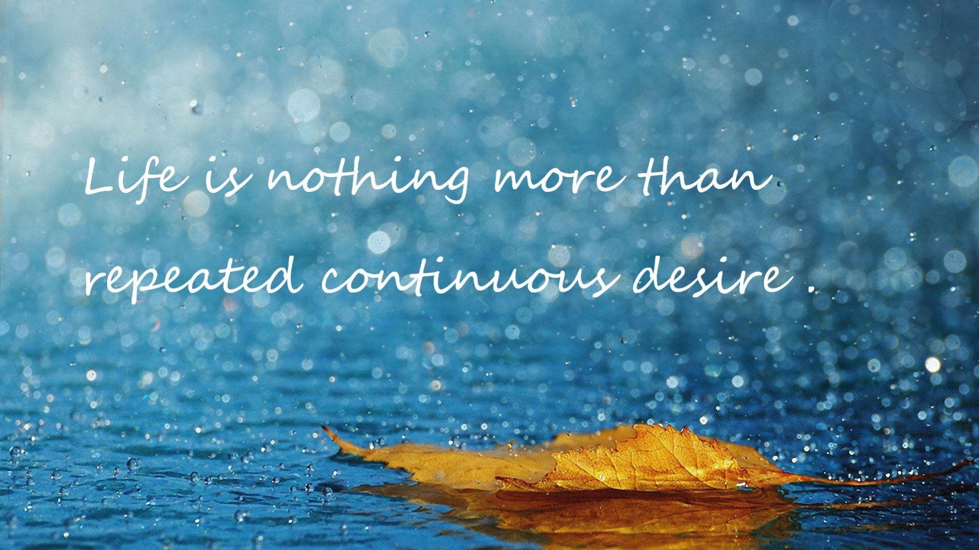 球员在转换进攻中节奏的临场判断能力，转身进攻犯规