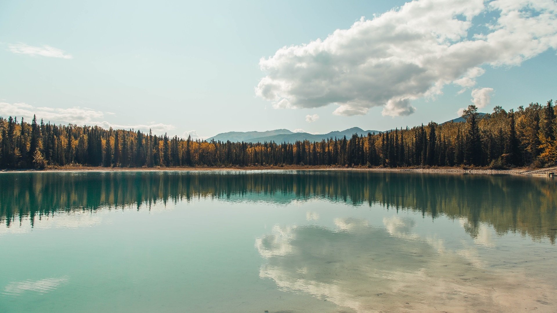 球队压力管理体系建设是否成为争冠基础之一，球队压力管理体系建设是否成为争冠基础之一的原因