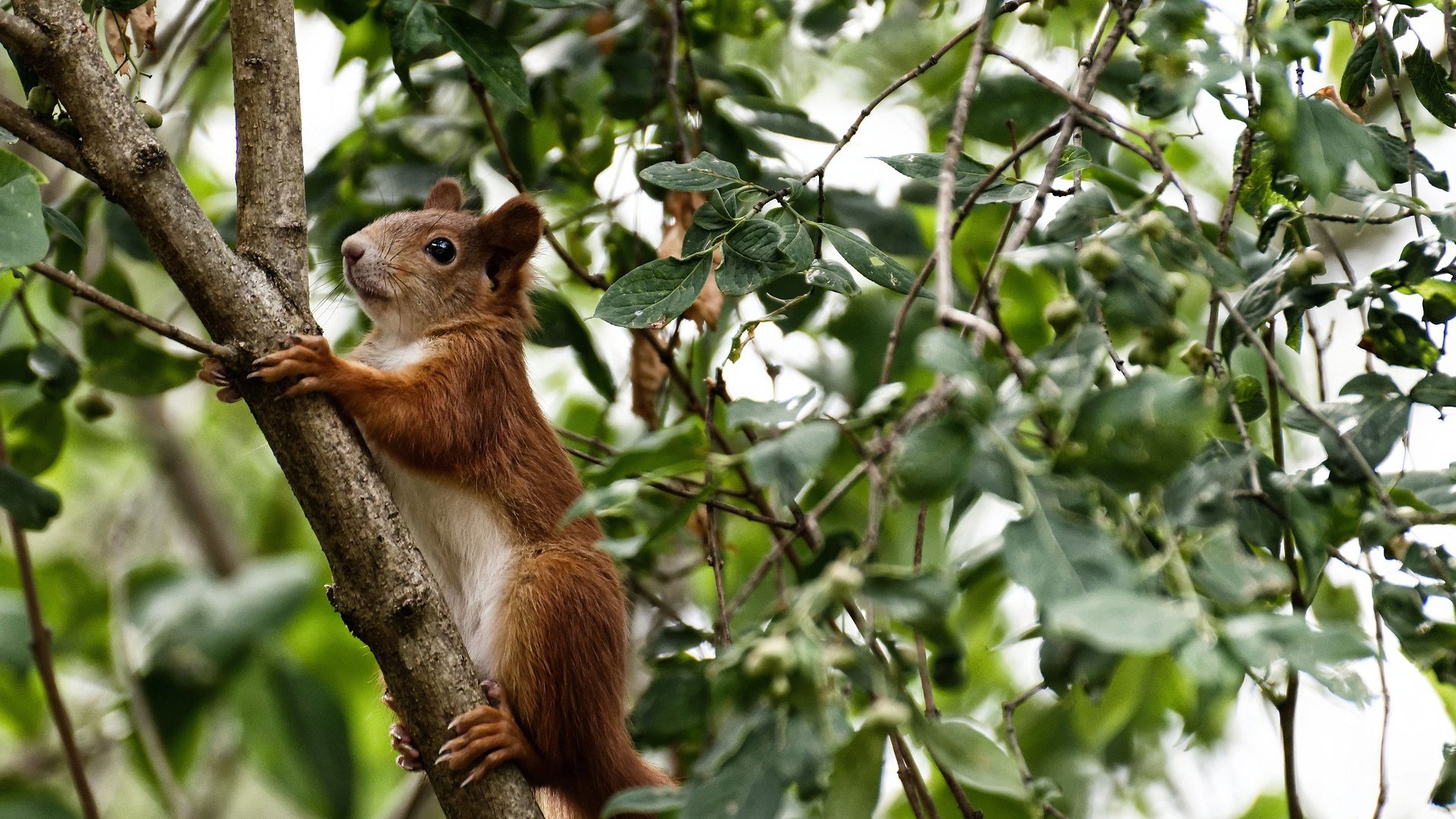 球队压力管理体系建设是否成为争冠基础之一，球队压力管理体系建设是否成为争冠基础之一的原因