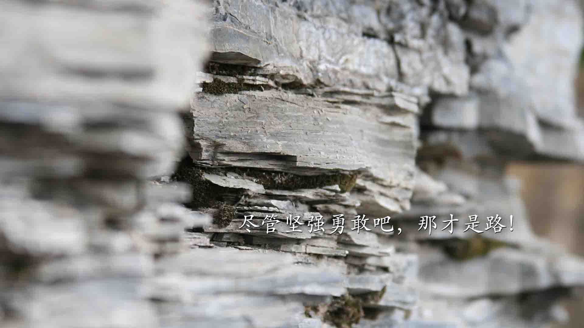 国际篮联发布裁判评分白皮书，透明度与标准化并重，国际篮球裁判规则大全