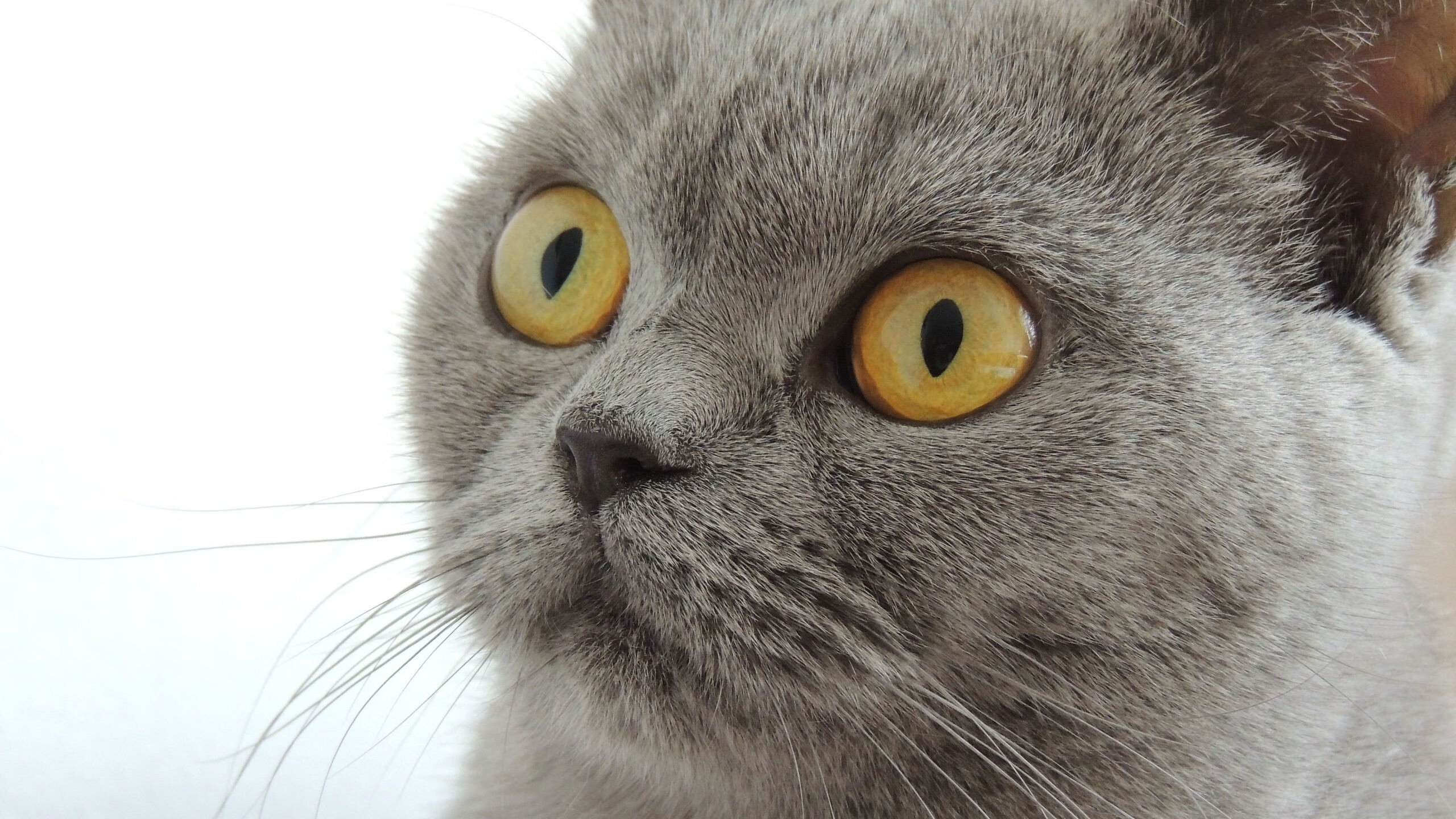 掘金球员配合体能师制定个性化恢复流程，掘金队球员工资表