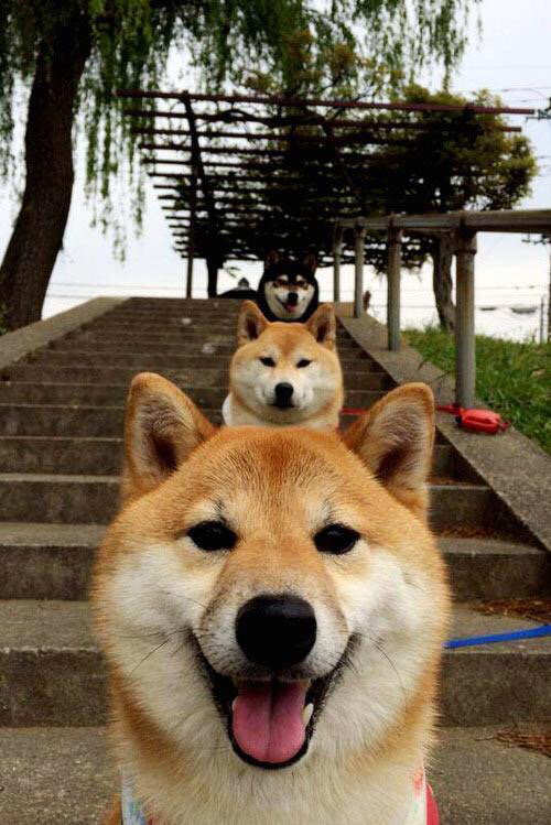 篮球运动员职业生涯规划指导,篮球职业规划怎么写