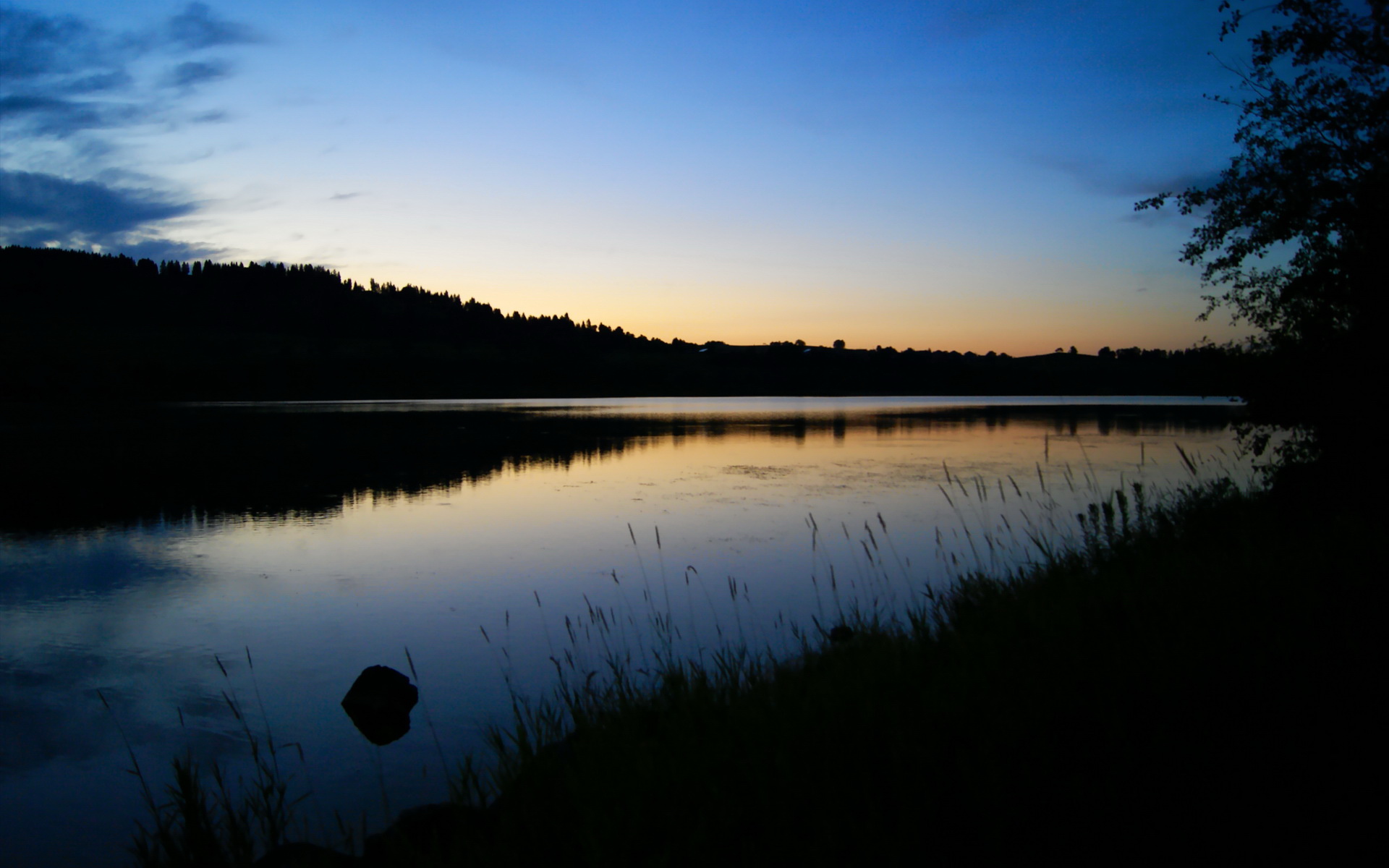 美洲杯明星闪耀全场:激情十大瞬间!,美洲杯有哪些明星